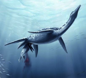 Pregnant Plesiosaurus