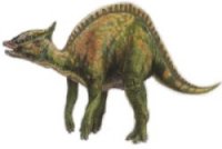 Saurolophus