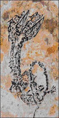 Two-headed Reptile