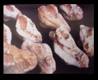 Fossils