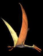 Pterosaur