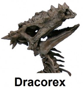 Dracorex Skeleton