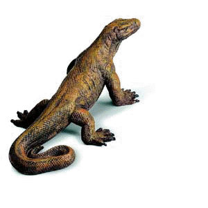 Komodo Dragon Transparent GIF