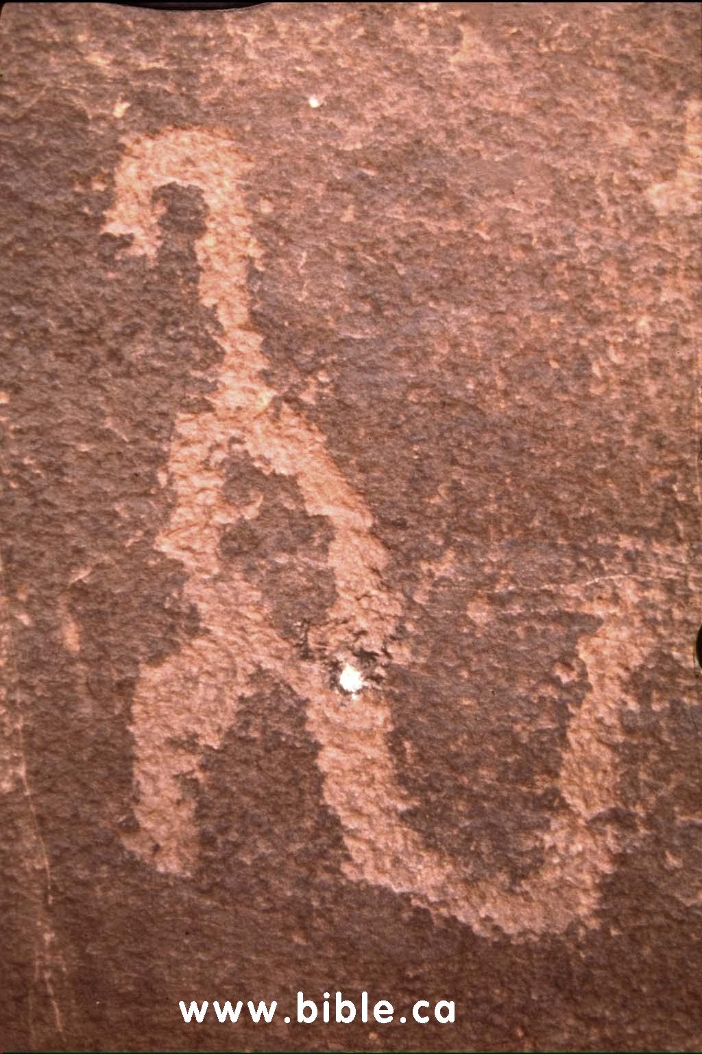 Havasupai-Dino-Petroglyph.jpg