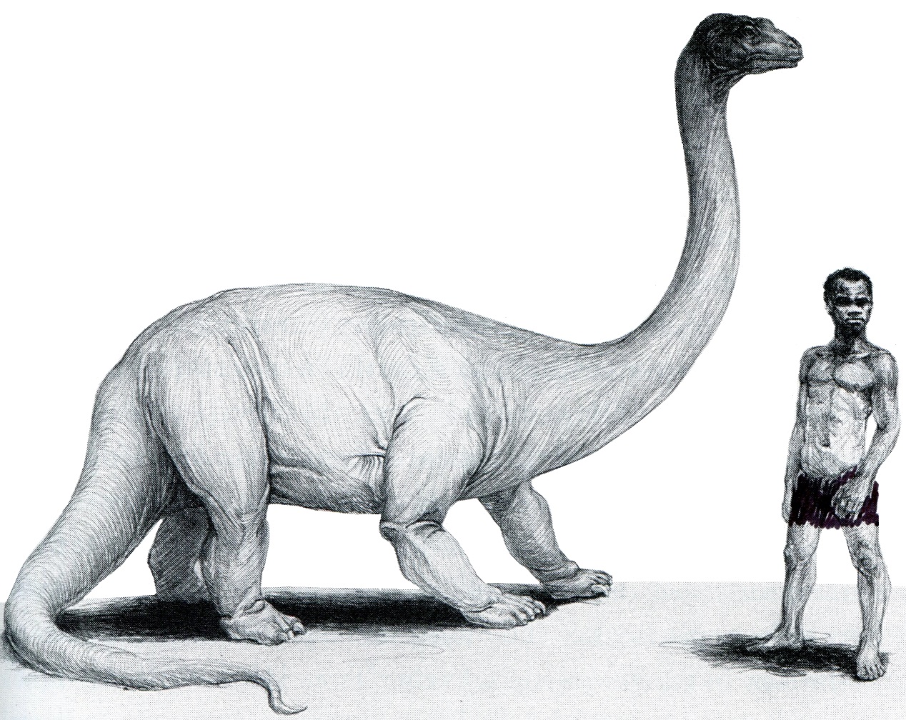 Drums along the Congo: On the Trail of Mokele-Mbembe, the Last Living  Dinosaur