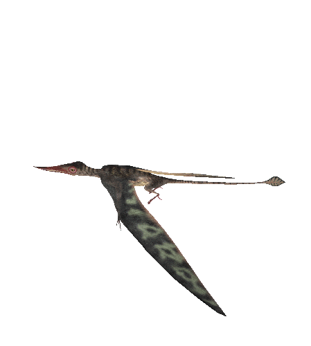 Pterosaur Rookery | Genesis Park