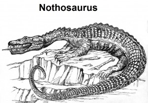Nothosaurus3